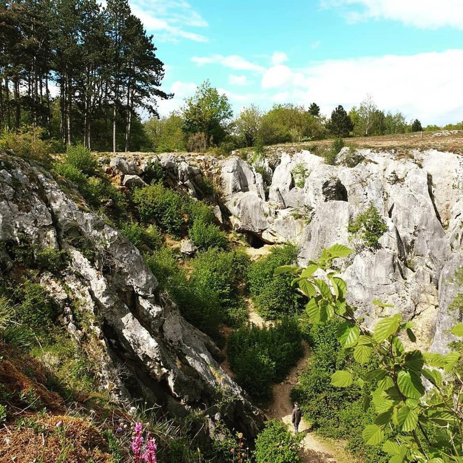 Verblijfpark Ardinam Olloy-sur-Viroin Exterior foto